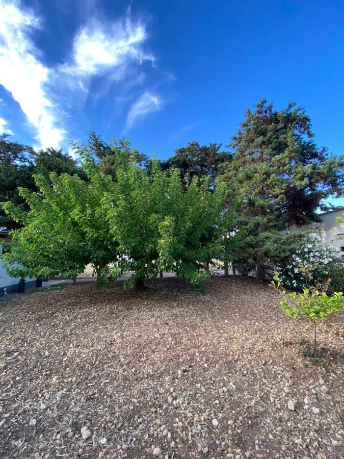 Tonnara di Bonagia La Casa Del Gelso 아파트 외부 사진