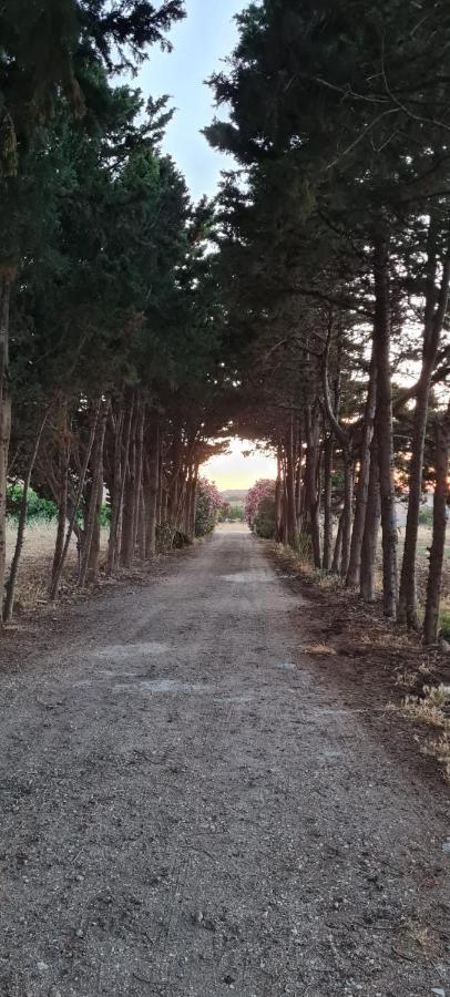Tonnara di Bonagia La Casa Del Gelso 아파트 외부 사진