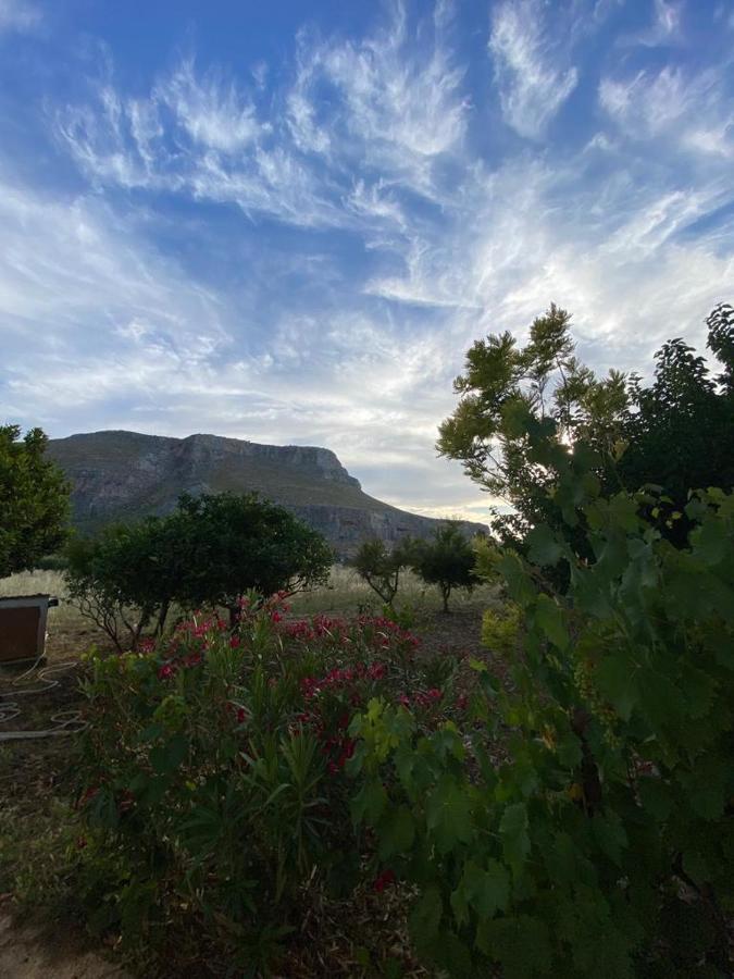 Tonnara di Bonagia La Casa Del Gelso 아파트 외부 사진