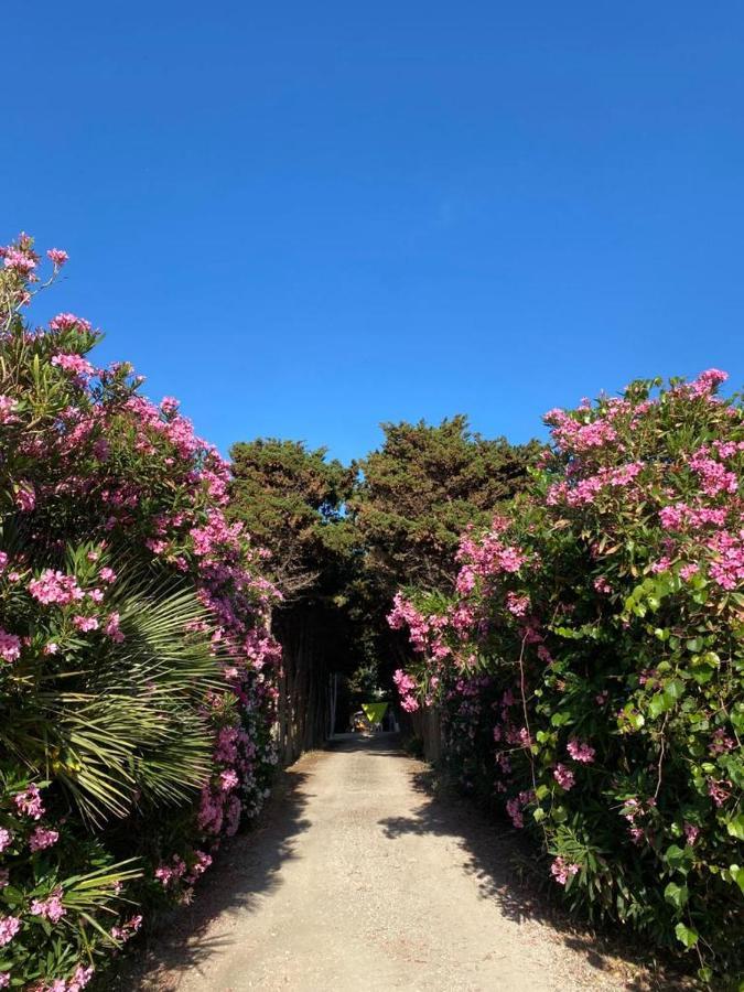 Tonnara di Bonagia La Casa Del Gelso 아파트 외부 사진
